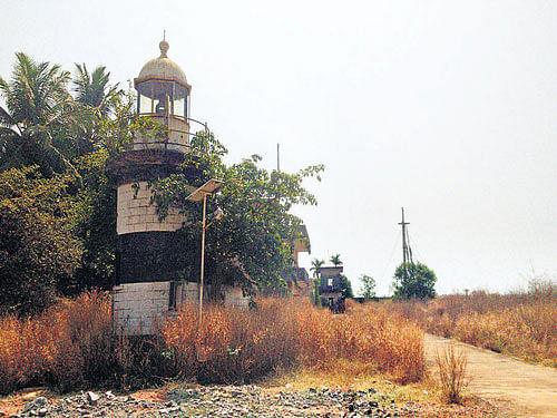 Forsaken: A view of the lighthouse covered with weeds and creepers at Hoigebazaar in Mangaluru. The weather mast, in a similar condition, is seen to the right. DH PHOTO