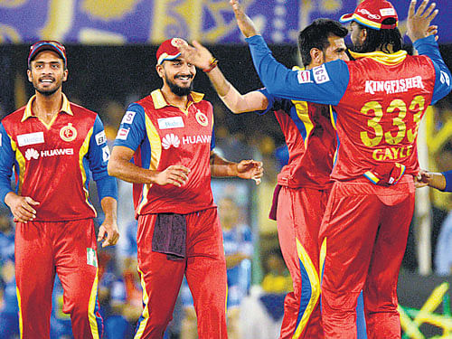 celebration time Royal Challengers will look to maintain their winning run against Daredevils on Sunday. pti