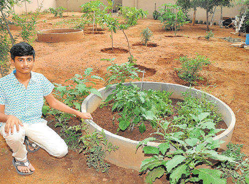 Arya Pudota at his organic farm in Bengaluru. DH PHOTO