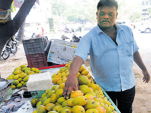 Mango production is down by around two lakh tonnes due to the scorching heat. DH Photo