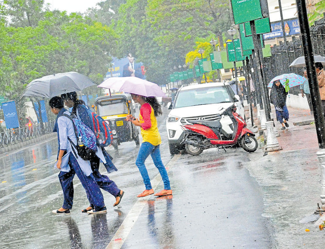 Students carry umbrellas to protect themselves from rain in Belagavi on Wednesday. DH image.