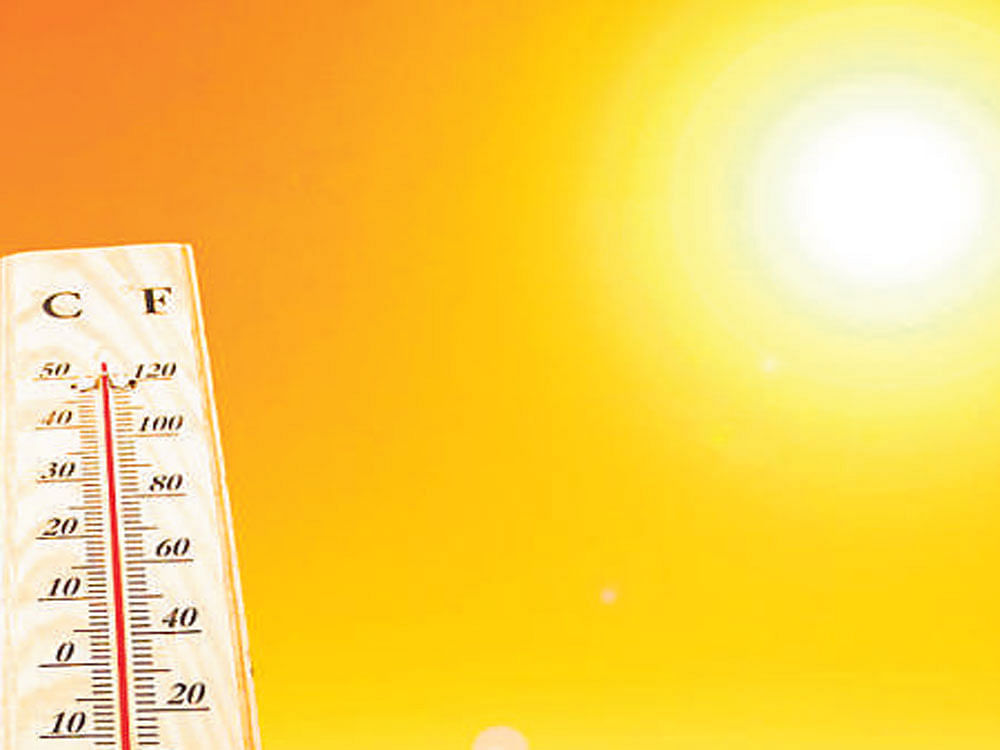 At least 1,600 people died from excessive heat in 1998, when the mean summer temperature was higher than 28 degrees Celsius, researchers said. Representational Image. Photo credit: PTI.