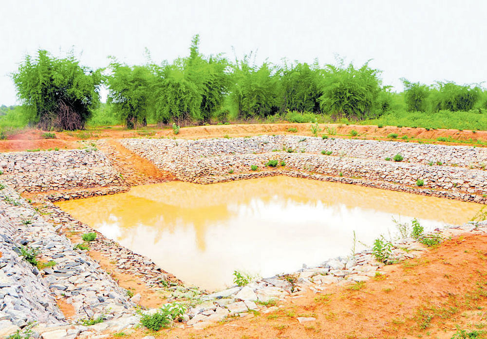 One of the water pools built by HAL as part of the rejuvenation work.