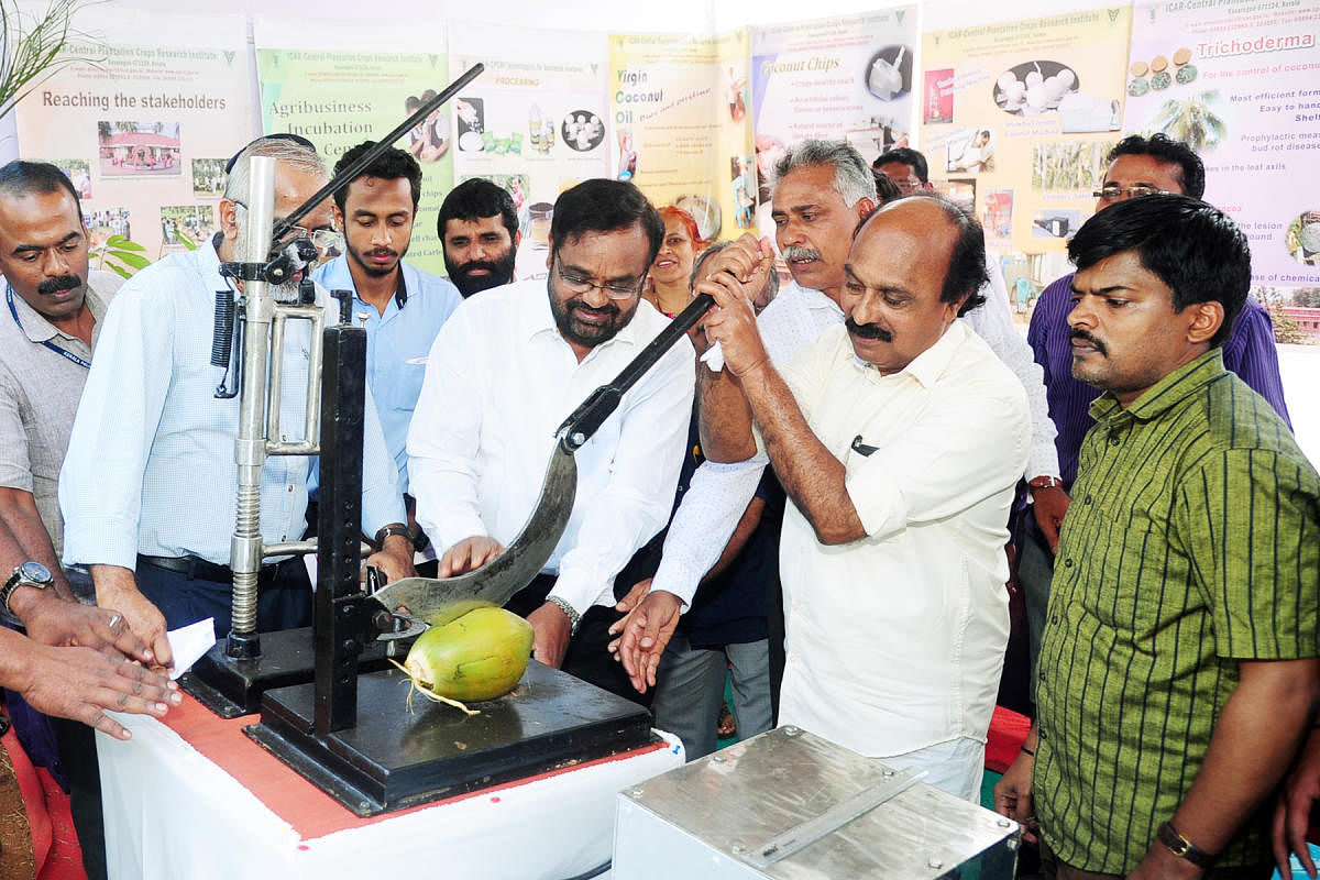 Minister for Revenue E Chandrasekharan inaugurates the agricultural expo by cutting a coconut using a machine, at CPCRI in Kasargod.