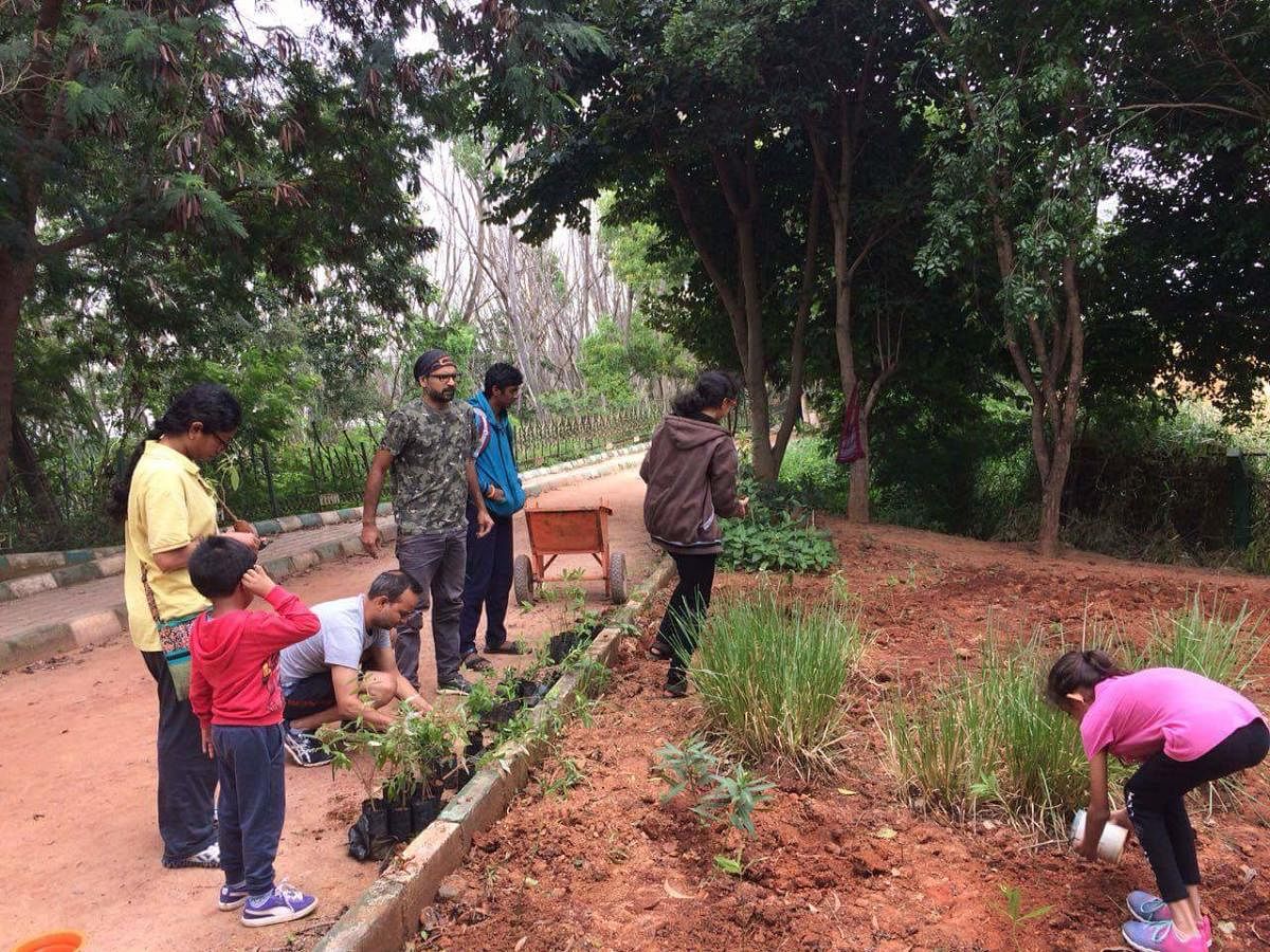 A new Butterfly Park is mushrooming in Kaikondrahalli lake premises, in East Bengaluru. Thanks to local volunteers and activists that conceived the idea and setting it in motion.