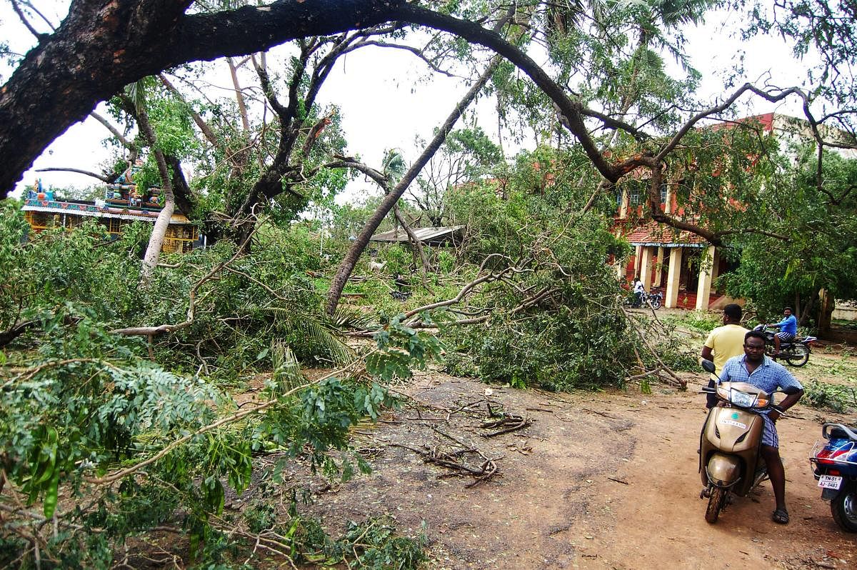 A view of the damage caused by cyclone 'Gaja', after it hit Velankanni, in Nagapattinam district of Tamil Nadu, Friday, Nov. 16, 2018. The Centre Friday assured the Tamil Nadu government of all assistance to deal with the situation arising out of this sto