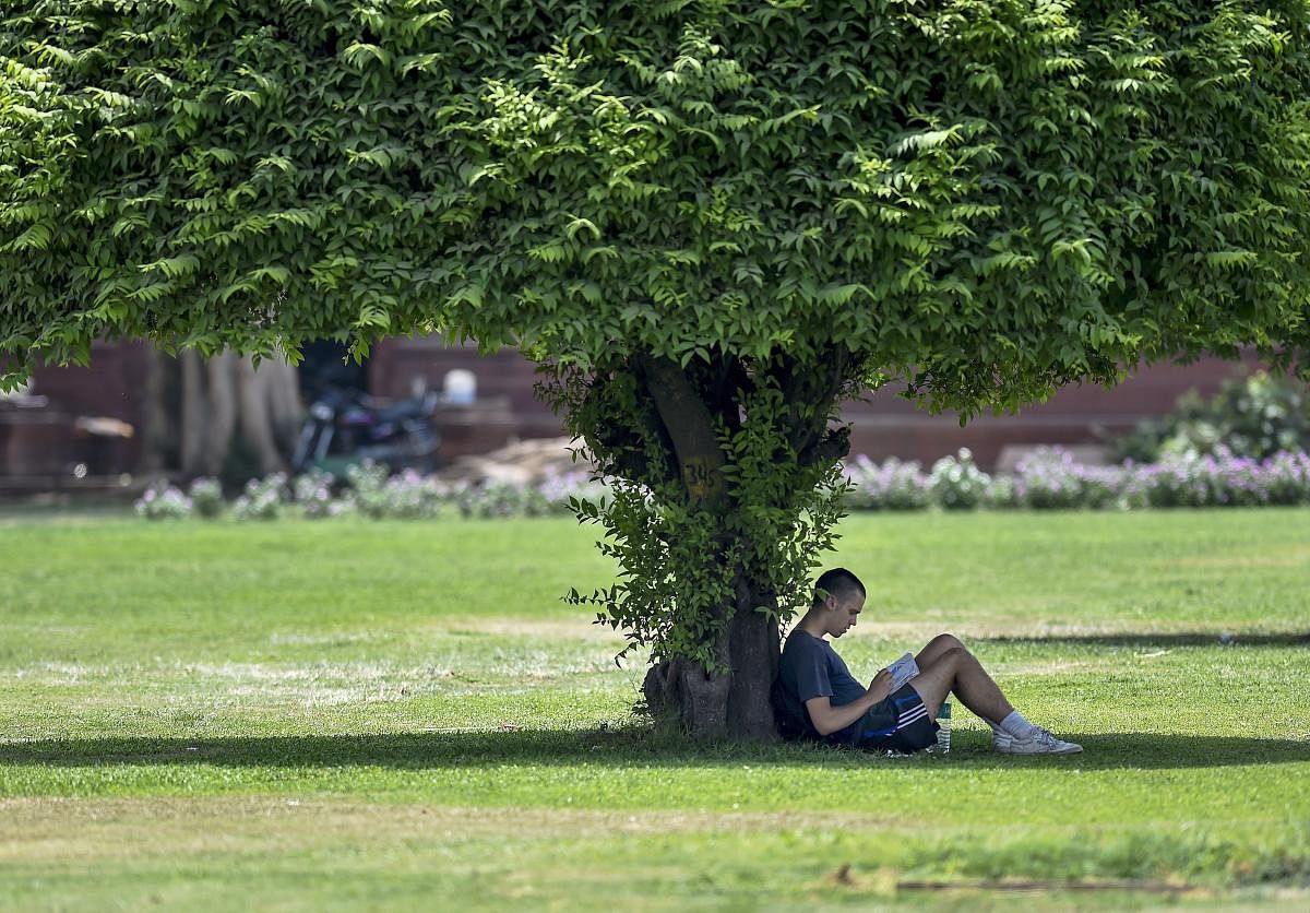 A man sits in the shade of a tree on a hot day, in New Delhi. PTI photo.