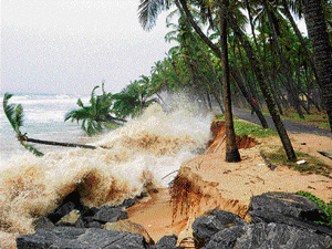 MONSOON BLUES: Sea erosion poses a threat to a coconut plantation at Tenka Yermal near Padubidri in Udupi district. DH Photo