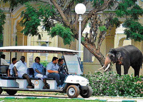 Tourist vehicles to be banned in Mysore city during Dasara