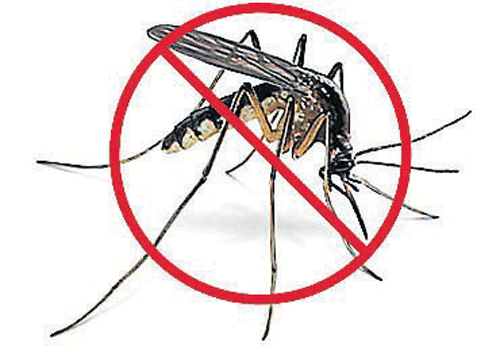 Task force formed to curb dengue fever in Mysore district