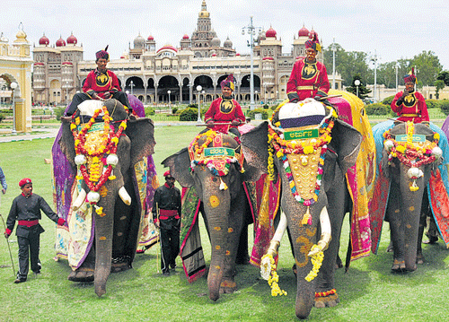 Dasara elephants in front of Amba Vilas Palace in Mysore on Saturday. DH&#8200;Photo