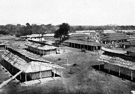 A plague camp