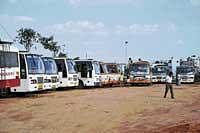 A file photo of KSRTC buses.