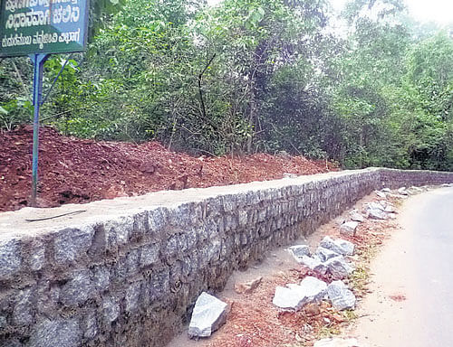 Principal Chief Conservator of Forests (Wildlife), Vinay Luthra, says permission has not been given to the PWD to construct walls by the road. dh photo
