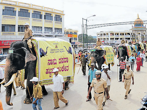 People stop by towatch jumbos march in a procession organised as a part of Elephants Day inMysuru on Thursday. DH PHOTO