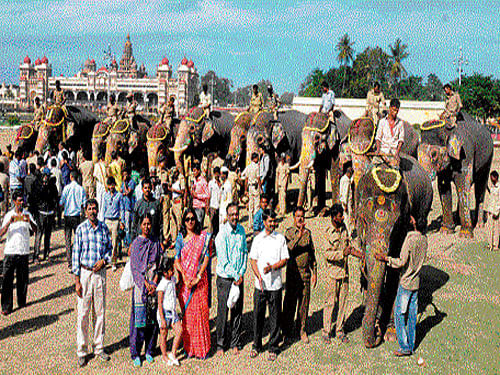 see you next year: (From left) Dasara elephants line up  in front of the Amba Vilas Palace before their departure to  forest camps in Mysuru on Sunday. Veterinarian Dr Nagaraju, Mysuru Palace Board Director Indiramma and Deputy  Director T S Subramanya  are seen. Abhimanyu helps  Kenchambha to get on to the lorry and hops on to another lorry. DH Photos