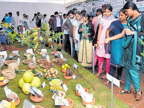 Visitors at the Krishi Mela organised by the University of Agricultural Sciences (UAS) at the GKVK campus in the City on Thursday. dh photo