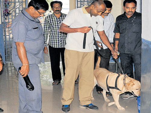 Sniffer dog and bomb disposal squad in action at the deputy commissioner's office in Mysuru on Monday. Dh Photo