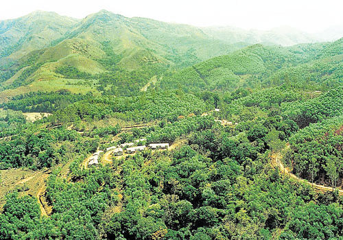 Trekking to the Kudremukh peak, a 20-km two-way route, and Kurinjal peak, a seven-km route, are very popular in the Kudremukh National Park (KNP)&#8200;in Chikkamagaluru district. DH&#8200;File Photo