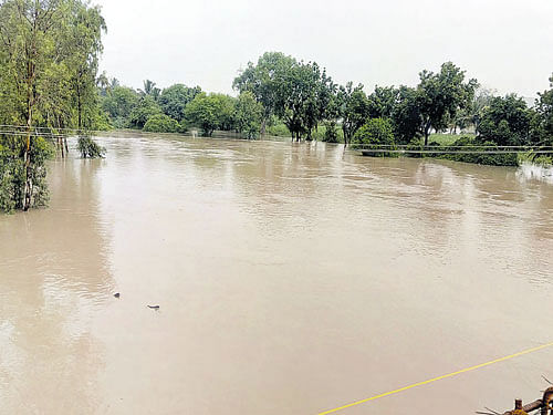 River Malaprabha is in spate near Konnur of Nargund taluk of Gadag district.Movement of vehicles on NH-218was affected formore than 13 hours as the river submerged a bridge on Sunday. DH photo