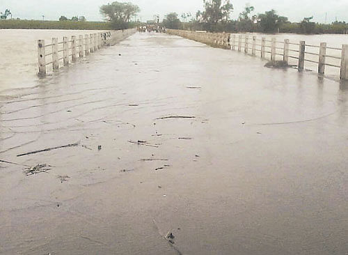 The Examba-Danwad bridge across the River Doodhganga is in Chikkodi taluk, Belagavi  district. DH PHOTO