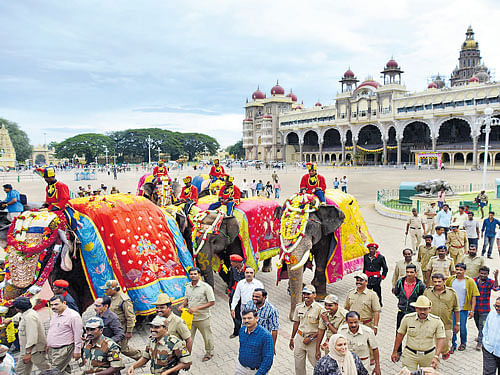 The Dasara events will not be cancelled, but held with slight modifications, according to  Mysuru Deputy Commissioner D&#8200;Randeep. dh file photo