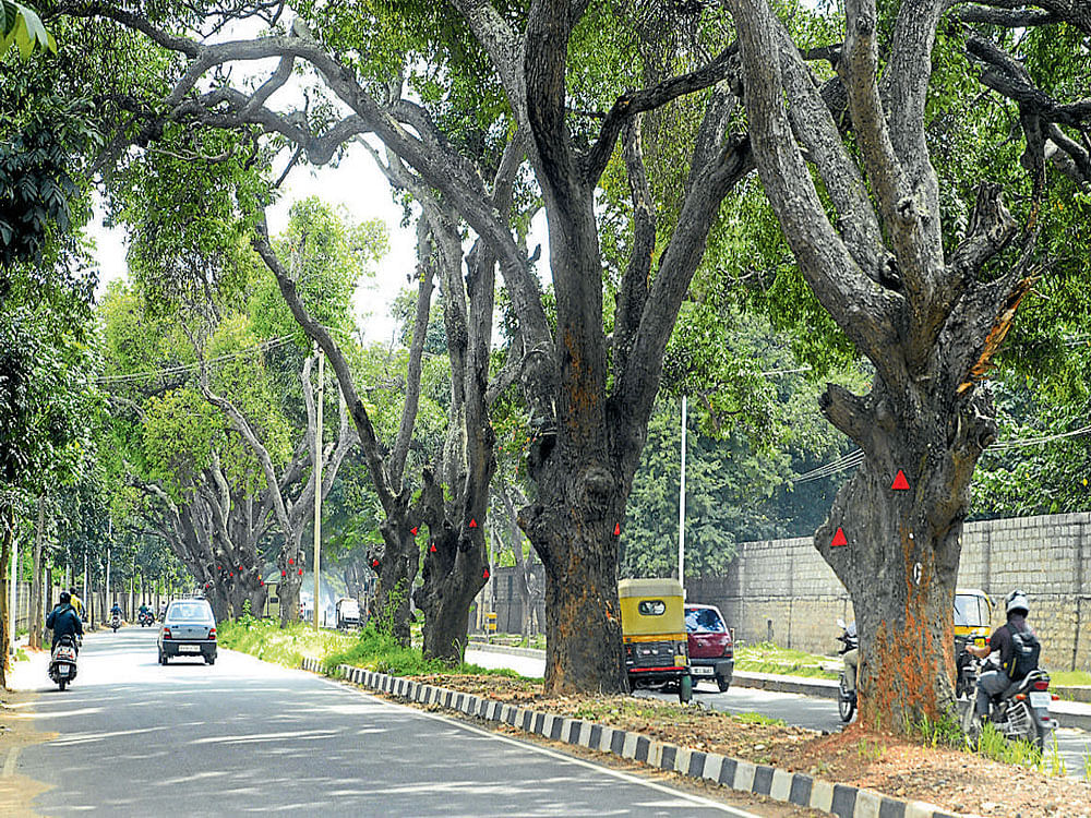 Jayamahal Road is set to be widened from Mehkri Circle to railway underbridge near Bengaluru Cantonment railway station. DH photo