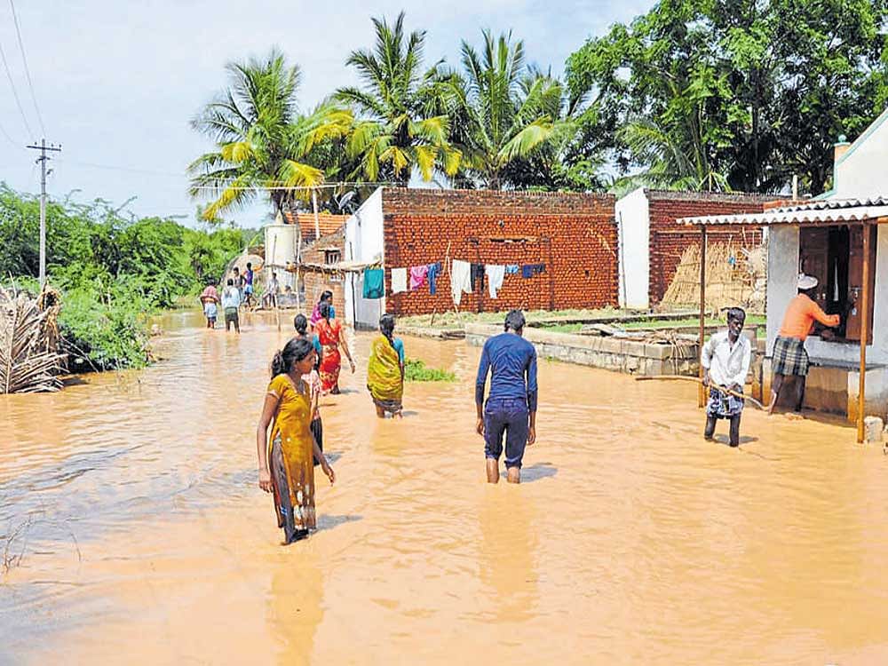 Rainwater enters houses as a check dam breached at  Hedatale village of Nanjangud taluk in Mysuru district  on Saturday. Dh Photo
