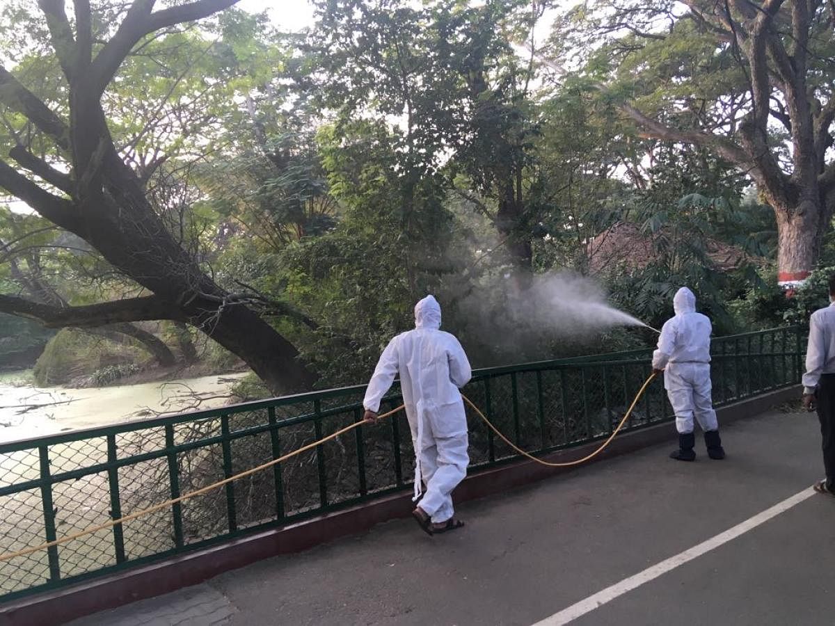 Zoo workers spray disinfectants at Mysuru Zoo, on Wednesday.