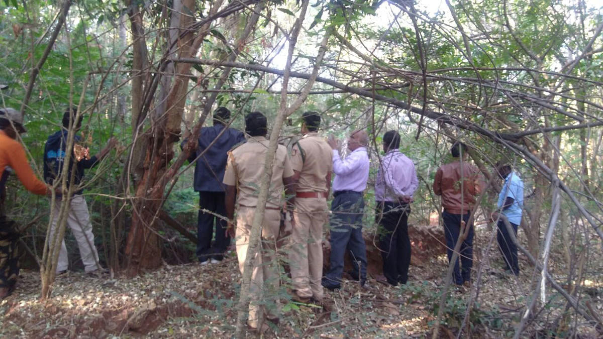 Forest department personnel comb the Mysuru Airport premises after wild animals were spotted on Wednesday.