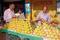 Customers purchasing mangoes at Hanumanth circle in Chikmagalur.  DH Photo