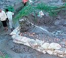 Skulls found at Annigeri in Dharwad district. DH PHOTO