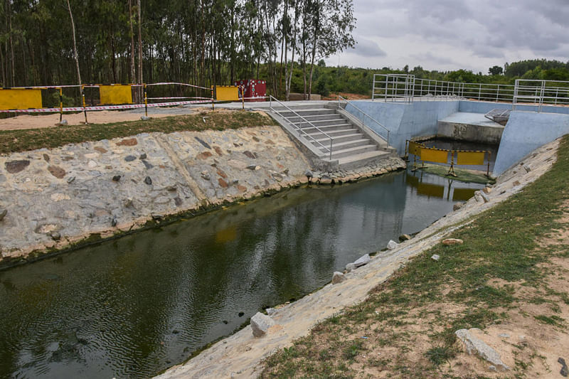 Kumar’s letter comes in the wake of a report published by DH titled ‘IISc warns of heavy metals in Kolar lakes’ on September 30, where the findings of the IISc team led by Prof Ramachandra has been detailed. (DH File Photo)