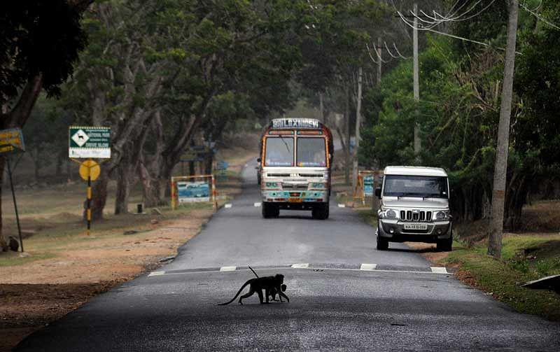 The highway was inundated since Friday under an overflowing river Kapila. (DH file photo for representation)