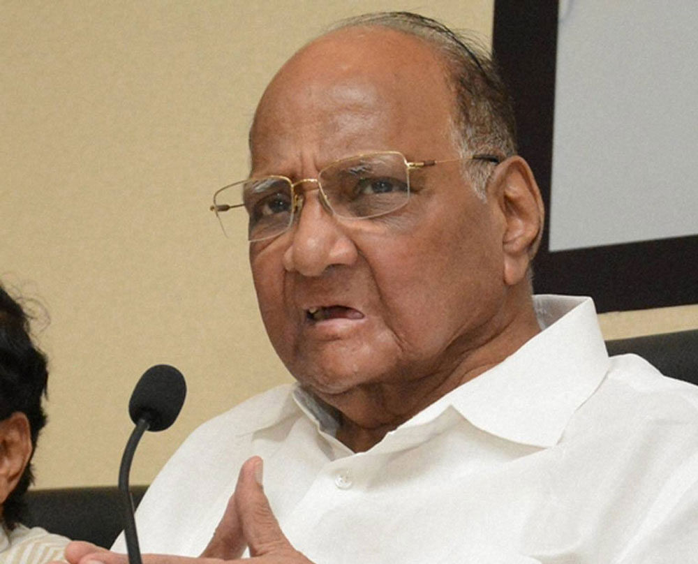 NCP leader Sharad Pawar is actively involved in getting the two parties together. PTI file photo.