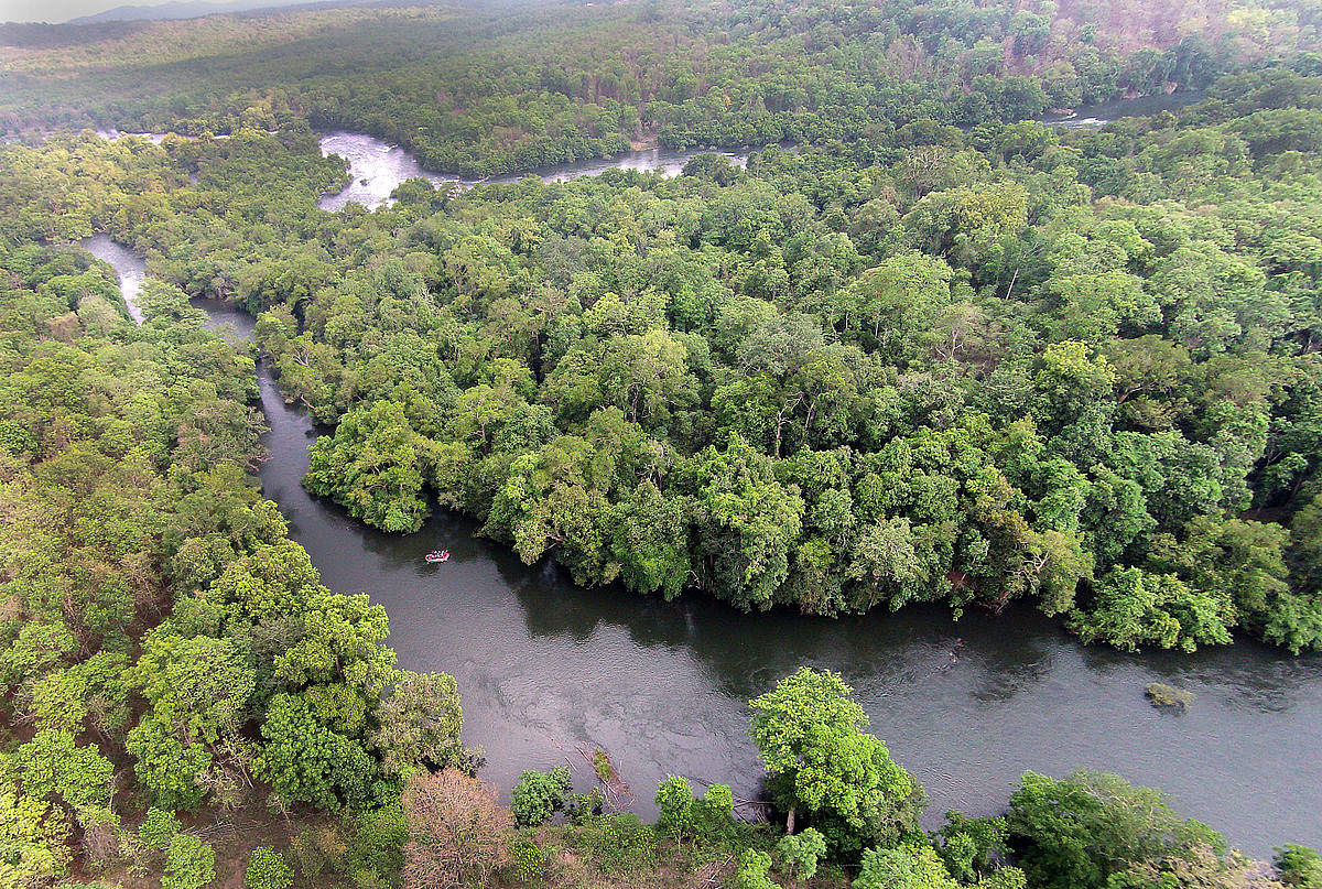 lifelines in peril: A view of River Kali along the Castle Rock Range in Dandeli Wildlife Sanctuary. DH Photo