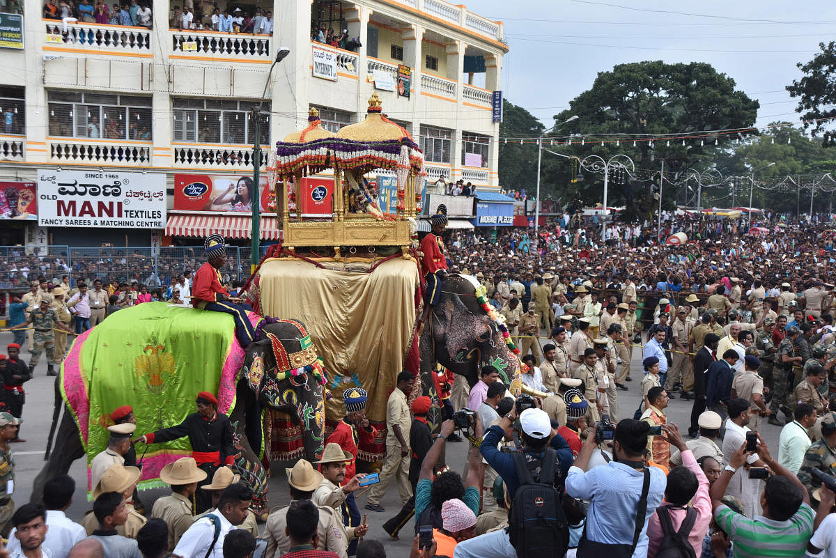 Dasara Elephant Arjuna carries a golden howdah during the Jamboo Savari at K R Circle in Mysuru. FILE PHOTO