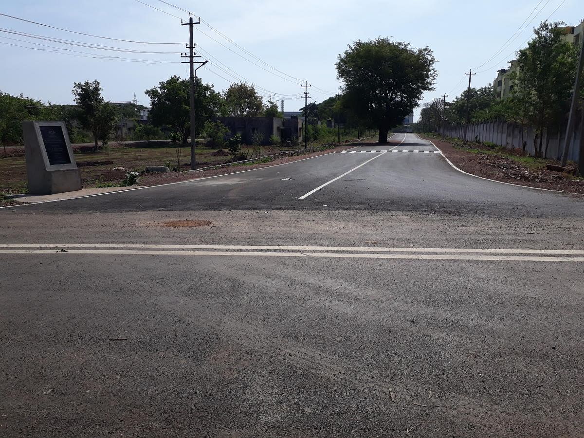 A huge tree which was left unharmed while laying a new road on the temporary campus of the Indian Institute of Technology at WALMI on the outskirts of Dharwad.