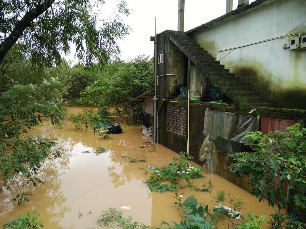 Heavy rains lashed the Malnad region flooding houses on Tuesday. DH photo.