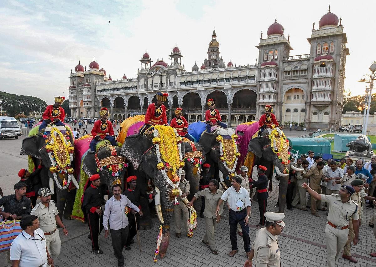 First batch of Dasara elephants enter the Mysore Palace ahead of the Mysore Dasara Festival, in Mysore. (PTI Photo)