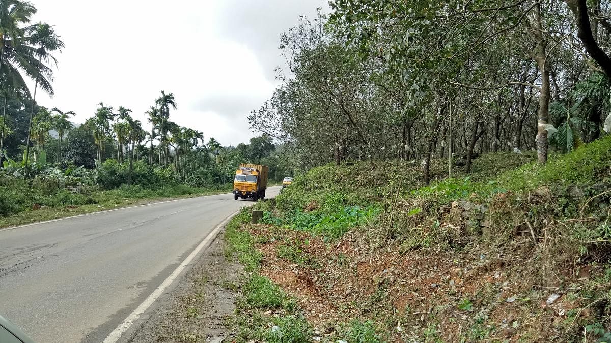 The Mysuru-Bantwal National Highway - 275 passes through Madikeri.