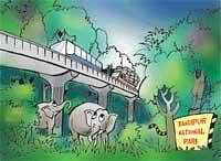 Flyover mooted to redress 'wild woes'  in Bandipur