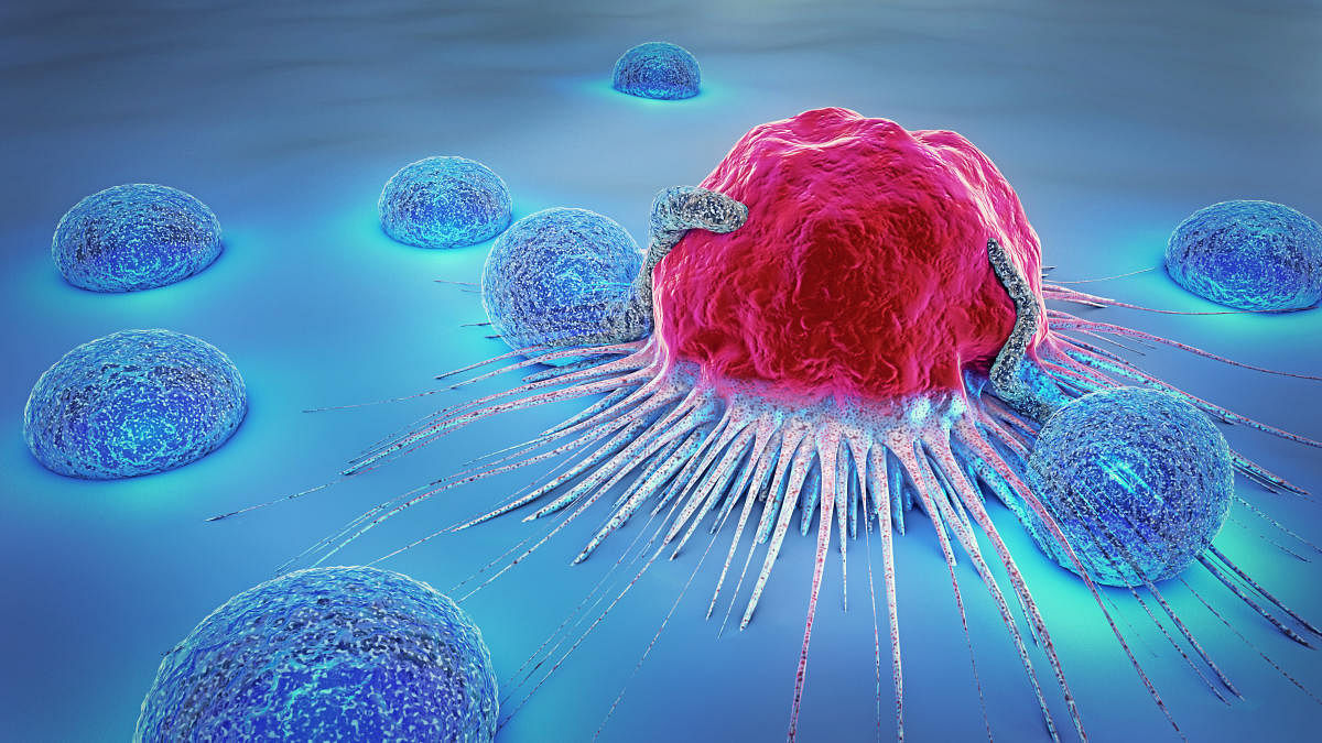 3d illustration of a cancer cell. File photo for representation