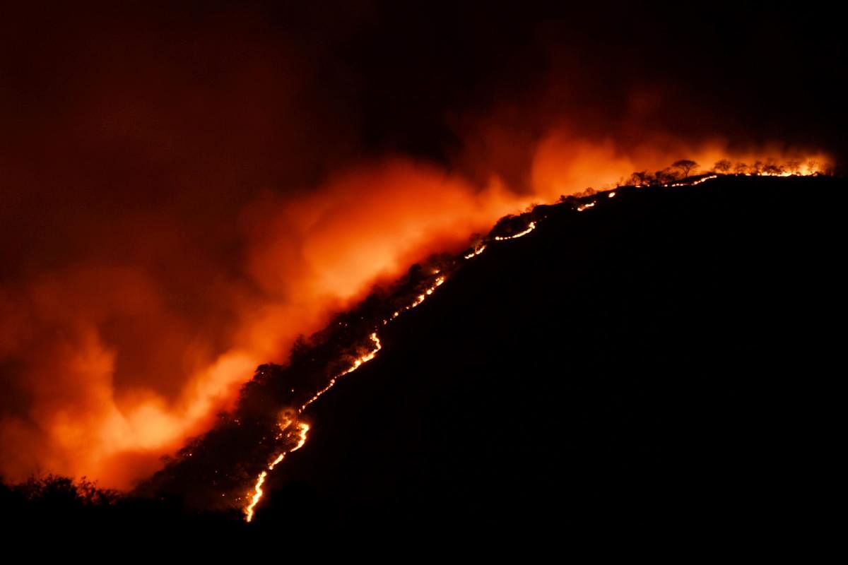 Flames rise after a forest fire at Bandipur Tiger Reserve, in Bandipur, Saturday, Feb 23, 2019. (PTI Photo)