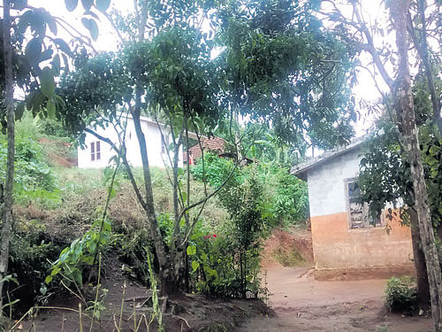 An adivasi hamlet at Ambalavayal in Wayanad district.