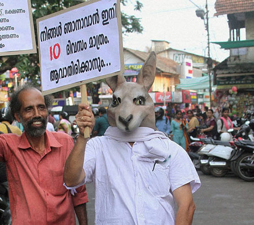 A man wearing a donkey mask campaigns for the upcoming  Assembly elections in Kozhikode on Friday. The placard reads, 'Just 10 days left for you to turn, or not turn, yourself into a donkey'. PTI