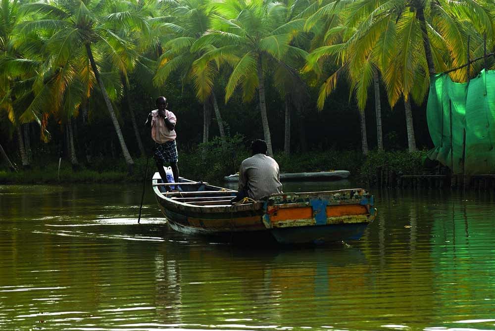 Vanchishwar observed that tourism was the biggest revenue generator for Kerala and Wayanad.  DH File Photo/ representation image 