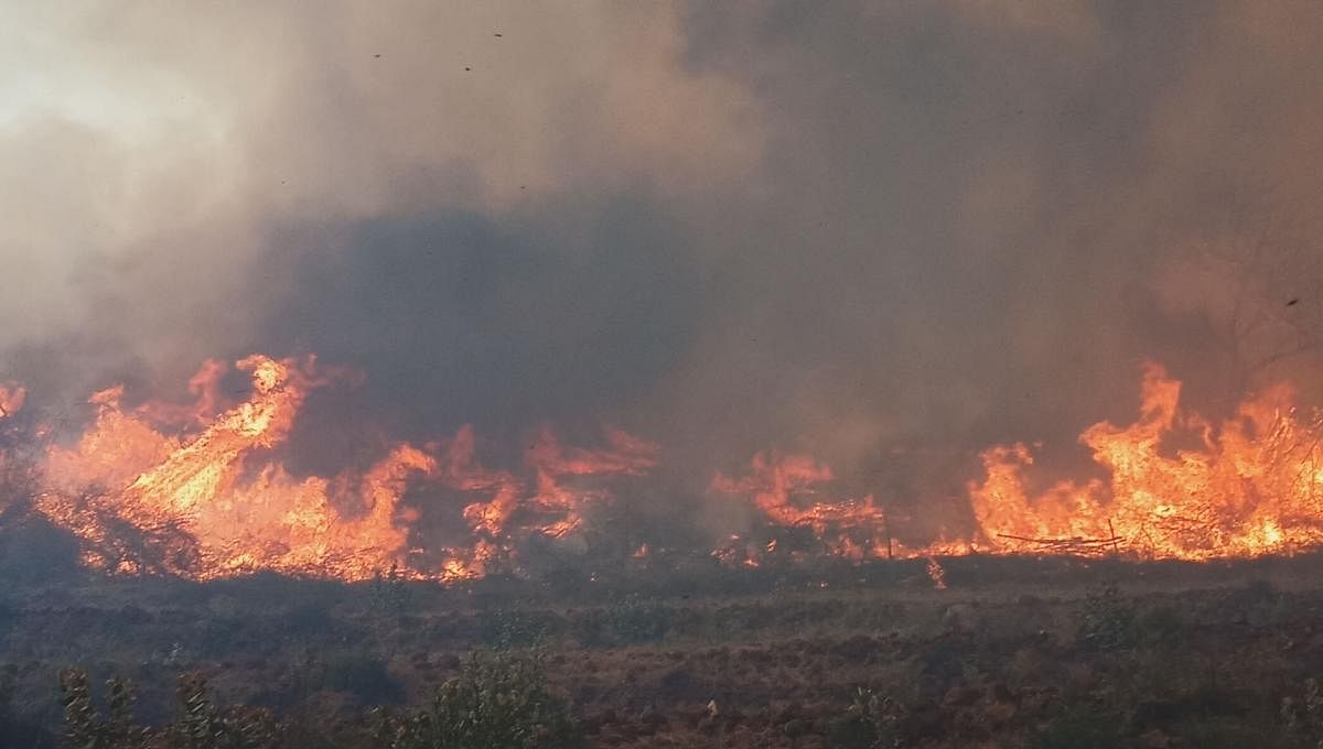 Fire at Boli Betta, under MM Hills Wildlife Sanctuary, in Hanur taluk, Chamarajanagar district.