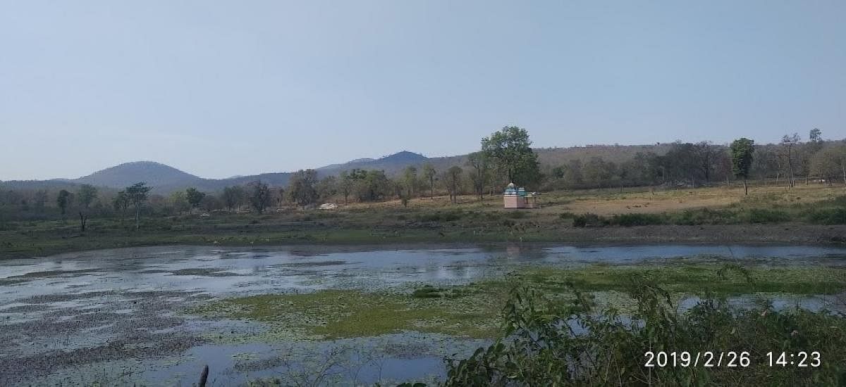 A view of Tavarekatte Lake under Bandipur range of forests under the Bandipur Tiger Reserve in Gundlupet taluk of Chamarajanagar district, recently. DH Photo/T R Sathish Kumar