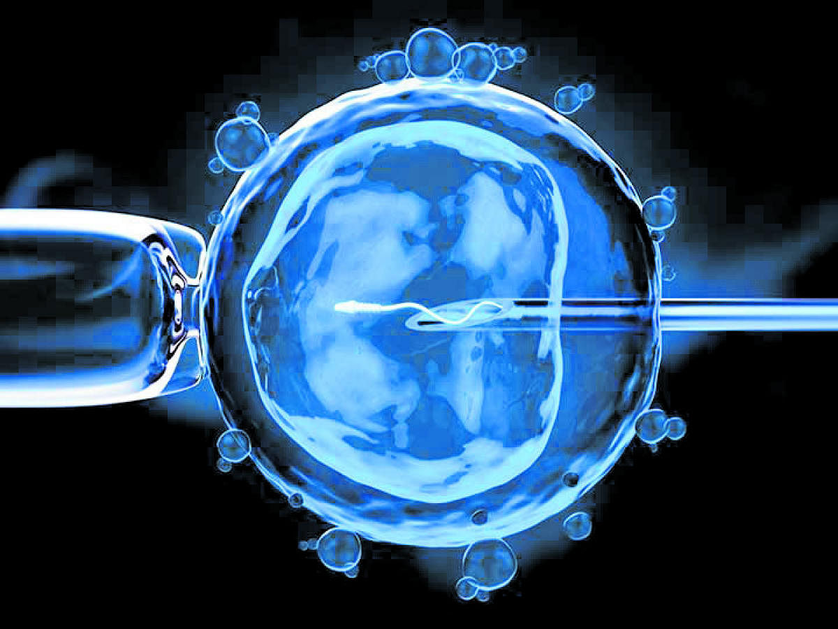 Scientists from the University of Minnesota in the US used data of 275,686 IVF children and 2,266,847 naturally conceived children. File photo